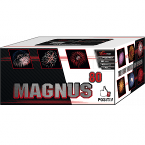  Magnus PXB2412 wyrzutnia fajerwerków 80 strzałów 20 mm Piromax F2